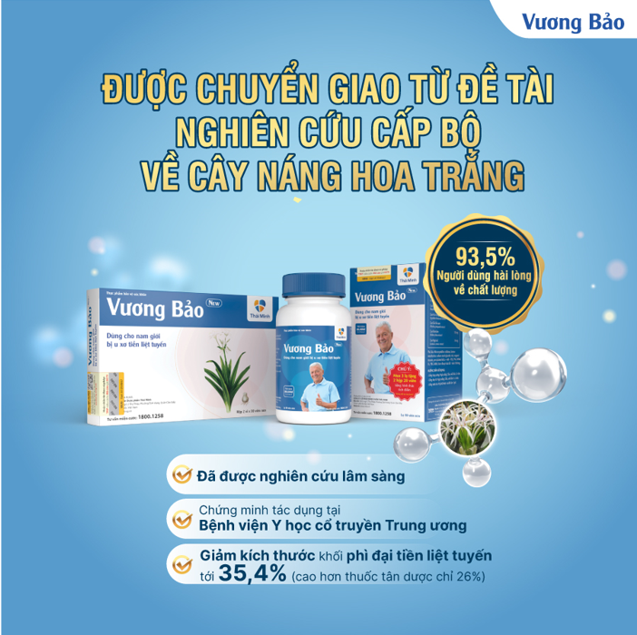 Vương Bảo – lựa chọn tối ưu hỗ trợ cho người bệnh phì đại tuyến tiền liệt - 2