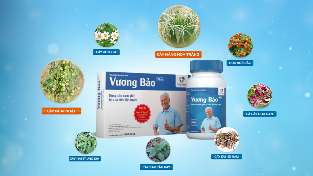 Vương Bảo – lựa chọn tối ưu hỗ trợ cho người bệnh phì đại tuyến tiền liệt - 3