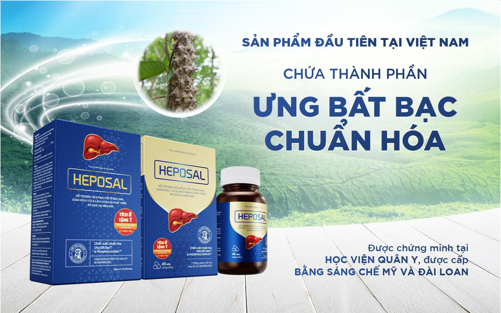 Heposal - hỗ trợ kiểm soát viêm gan B với sức mạnh Ưng Bất Bạc - 1