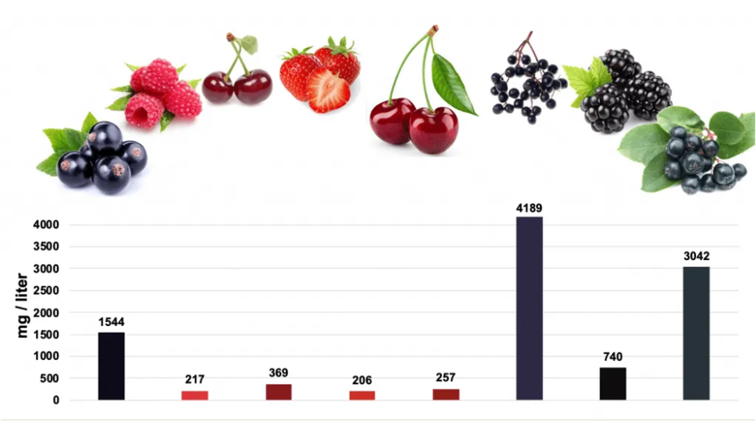 Quả cơm cháy có chứa hàm lượng chất chống oxy hóa anthocyanin cao vượt trội.