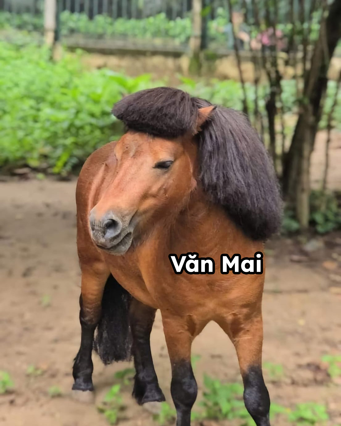 Với 