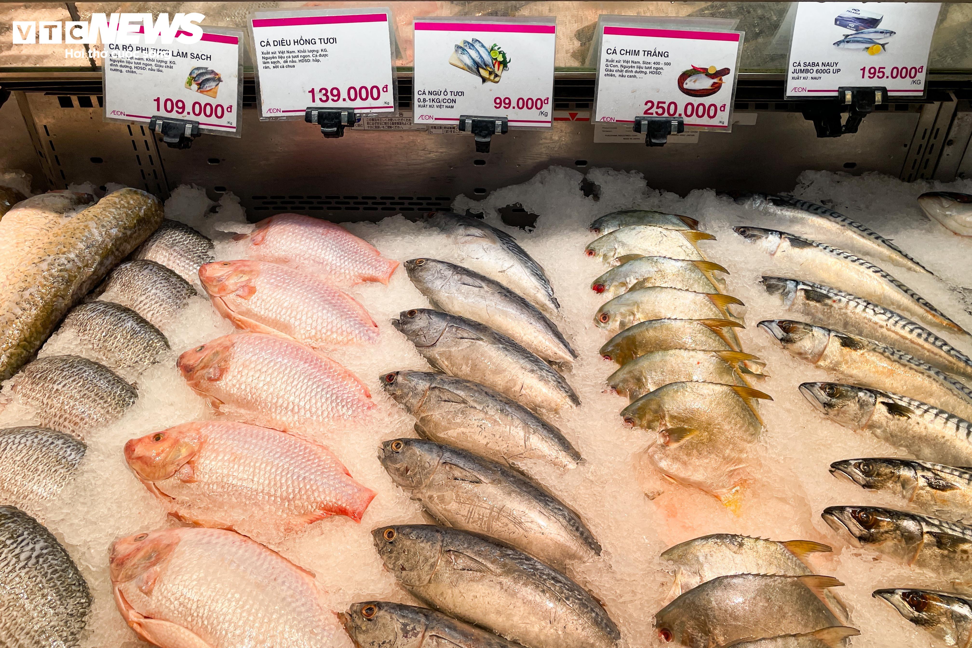 Tôm sú loại to 25 - 30 con/kg có giá dao động 450.000 - 600.000 đồng/kg, cá chép giá 100.000 - 120.000 đồng/kg. Theo nhiều bà nội trợ, mức này có tăng hơn ngày thường nhưng vẫn có thể 