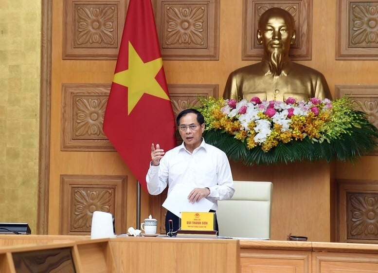 Phó Thủ tướng Chính phủ Bùi Thanh Sơn phát biểu tại cuộc họp. (Ảnh: VGP)