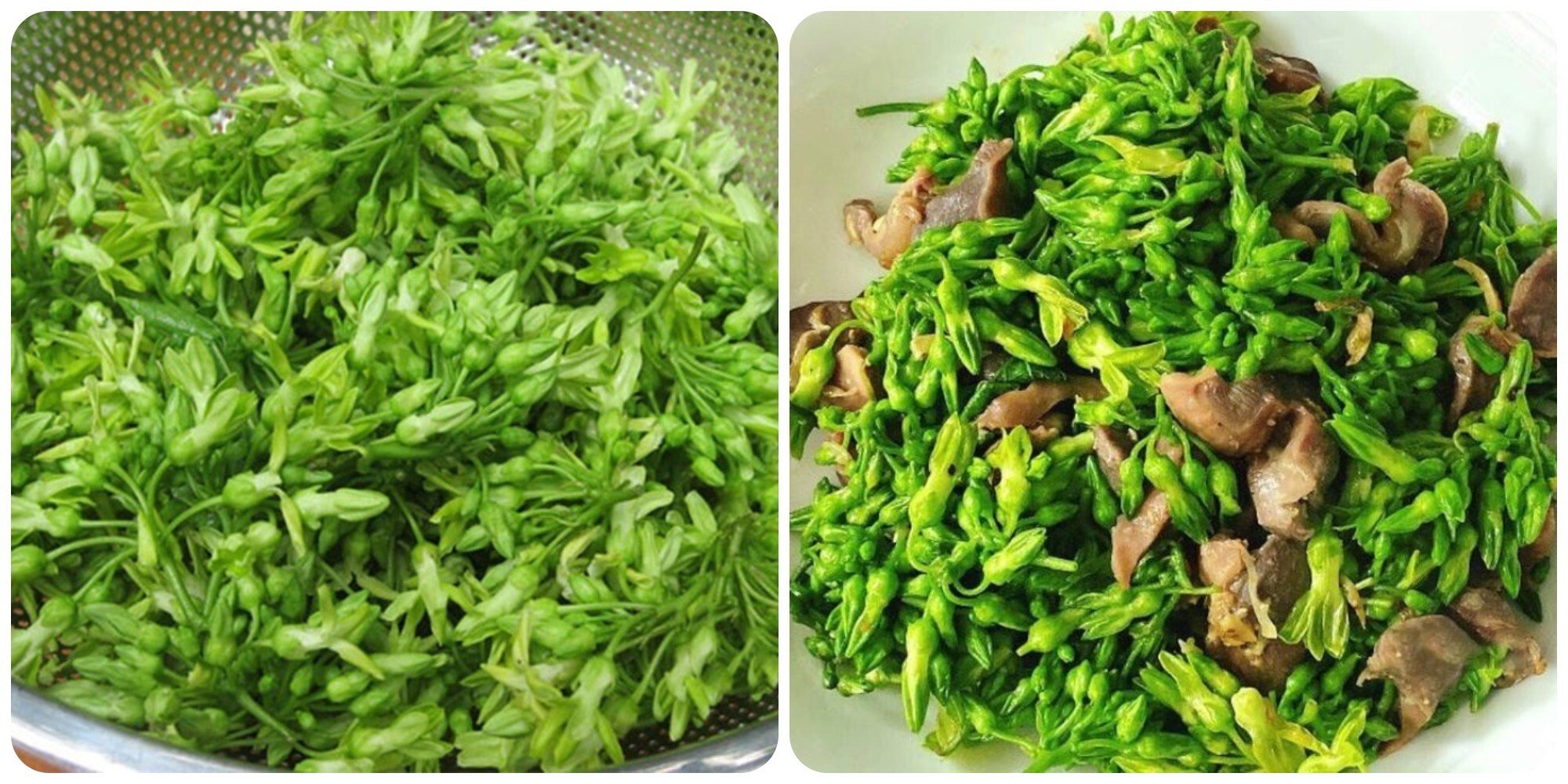 Bổ sung hoa thiên lý vào chế độ ăn uống rất tốt cho gan và thận