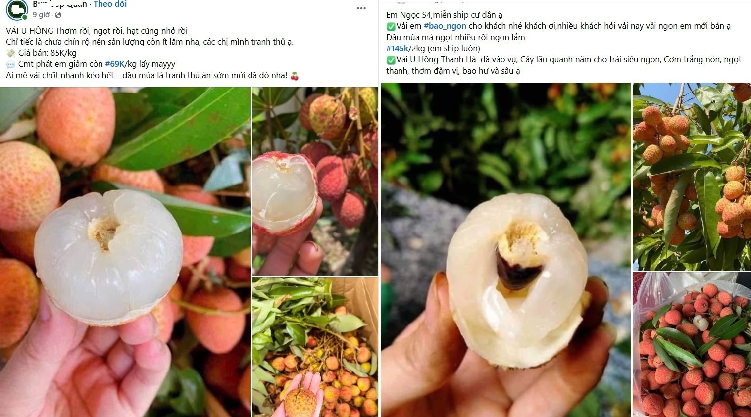 Vải chín sớm được bán ngập chợ mạng, giá chỉ vài chục nghìn đồng/kg. (Ảnh chụp màn hình)