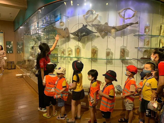 Bảo tàng Thiên nhiên Việt Nam mở cửa hoàn toàn miễn phí để các gia đình đến tham quan. (Ảnh: Vân Ngân)