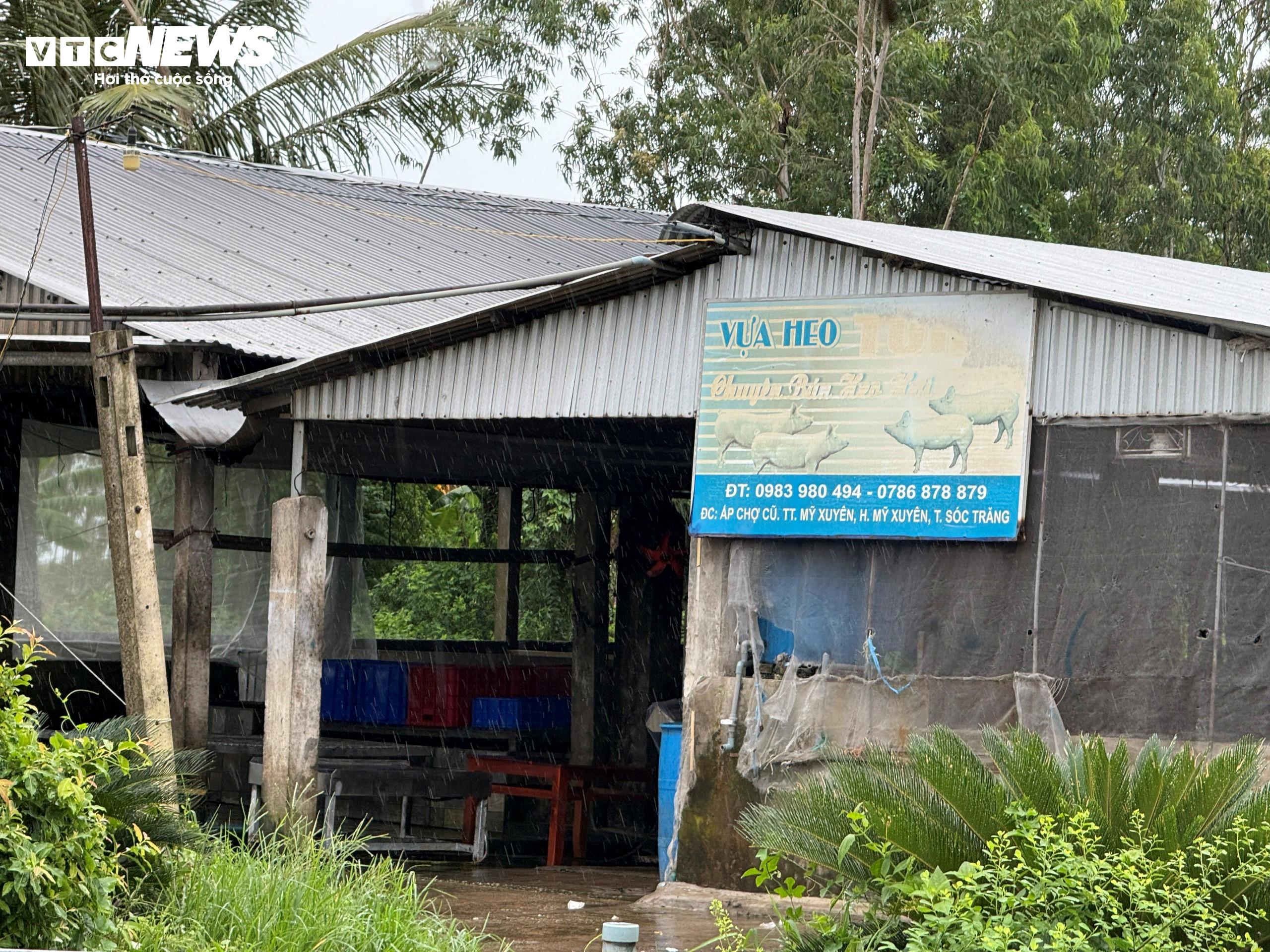 Lò mổ này là nơi gia công giết mổ heo cung cấp thịt heo cho các cửa hàng Bách Hóa Xanh và 4 cửa hàng C.P. Fresh Shop tại Sóc Trăng từ năm 2023 đến nay.