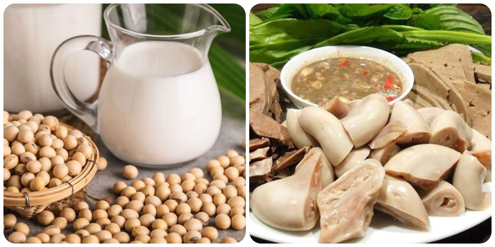 Đậu nành và nội tạng động vật là hai thực phẩm người có axit uric cao không nên ăn