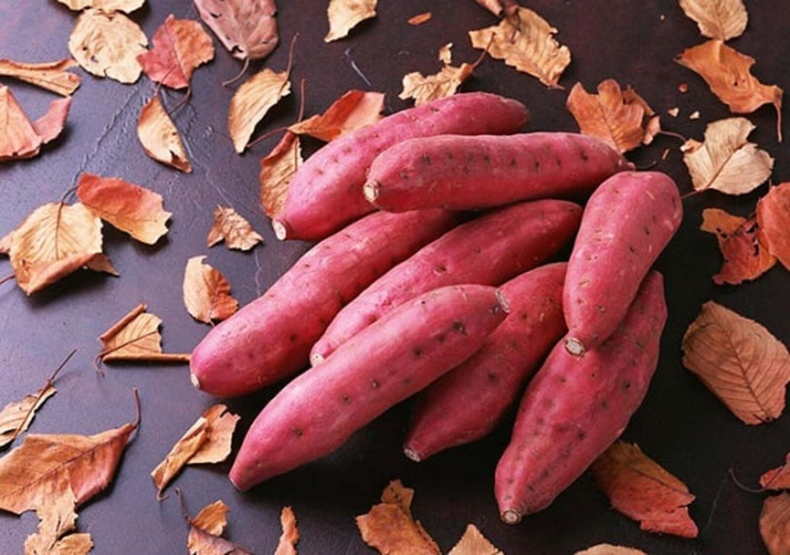 Khoai lang là thực phẩm quen thuộc giàu dinh dưỡng (Ảnh minh họa)