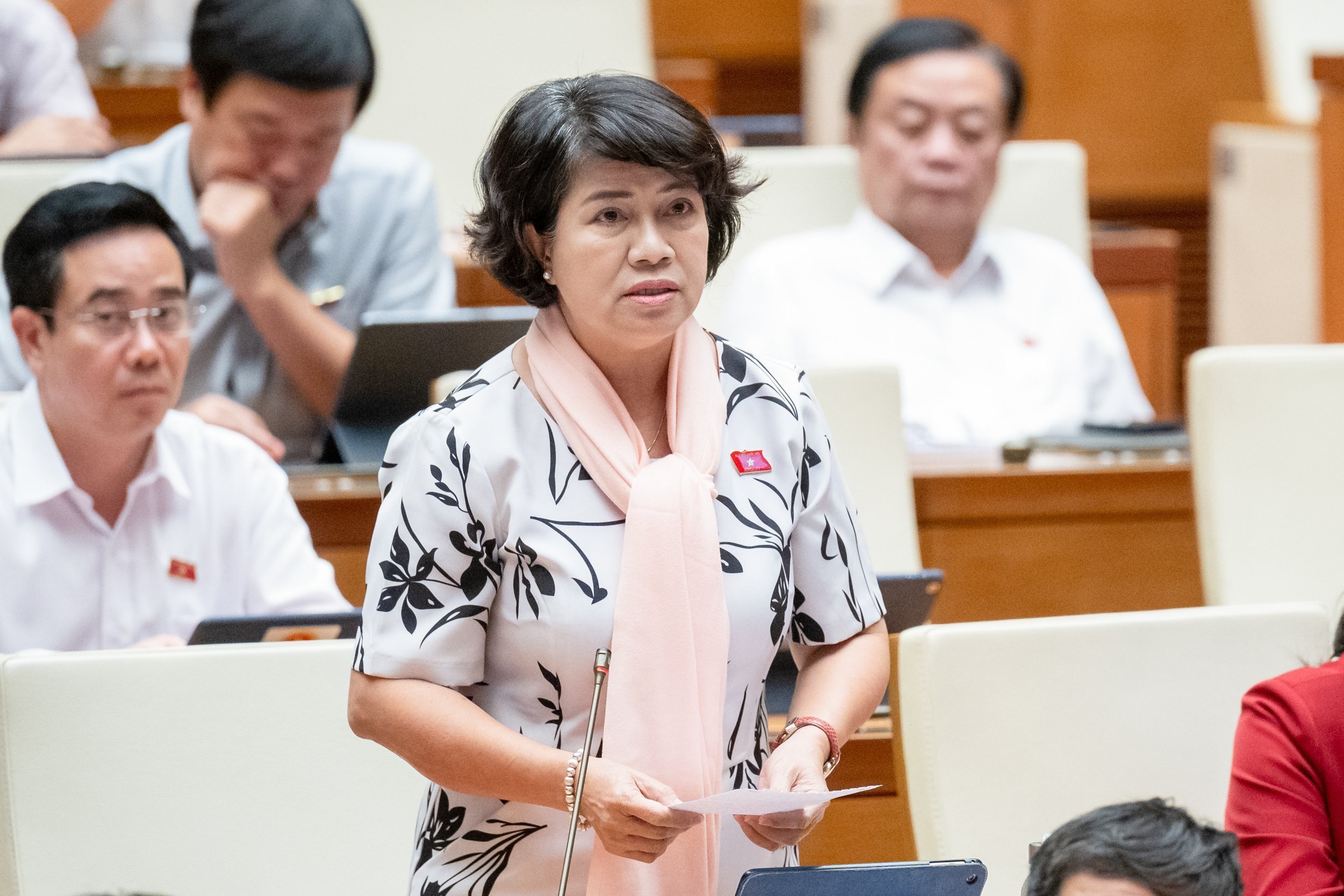 លោកស្រី Nguyen Thi Le Thuy អនុប្រធានគណៈកម្មាធិការវិទ្យាសាស្ត្រ បច្ចេកវិទ្យា និងបរិស្ថាន។