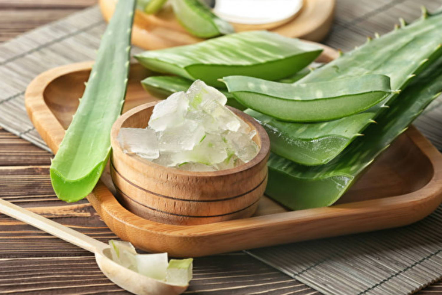Cây nha đam hay còn được gọi là cây lô hội (Ảnh: Shutterstock)