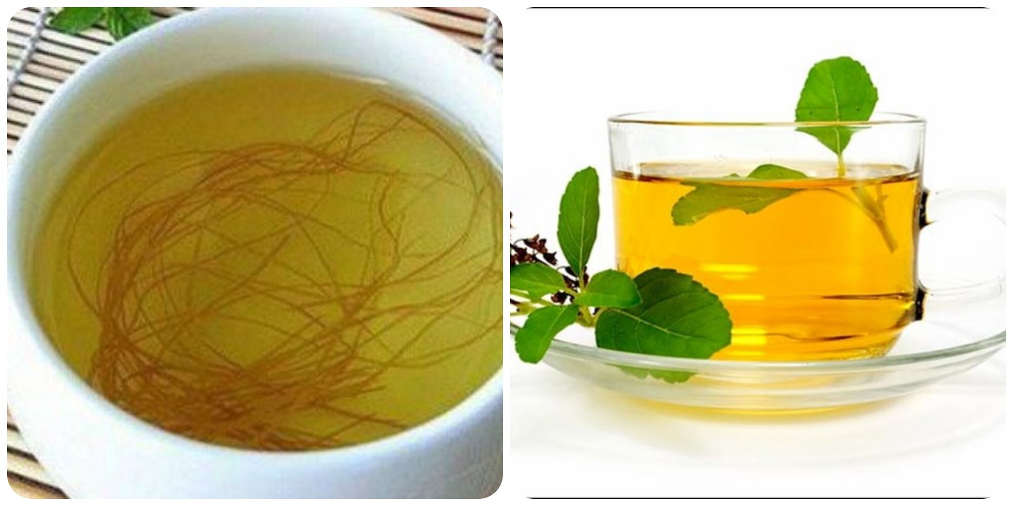 Nước râu ngô và trà húng quế rất tốt cho gan và thận