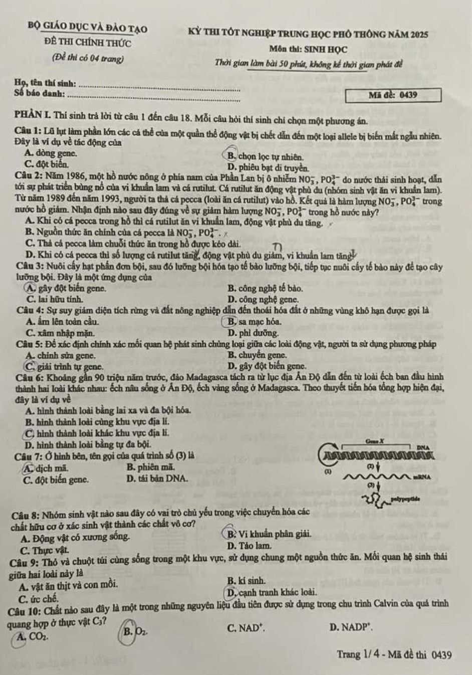 Đáp án đề thi môn Sinh học tốt nghiệp THPT 2025 tất cả mã đề - 3