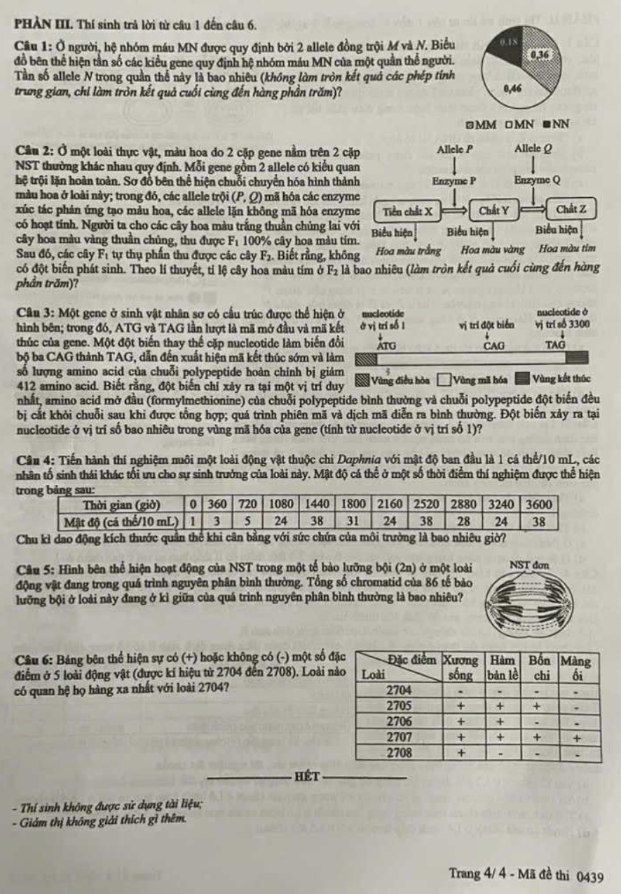 Đáp án đề thi môn Sinh học tốt nghiệp THPT 2025 tất cả mã đề - 6