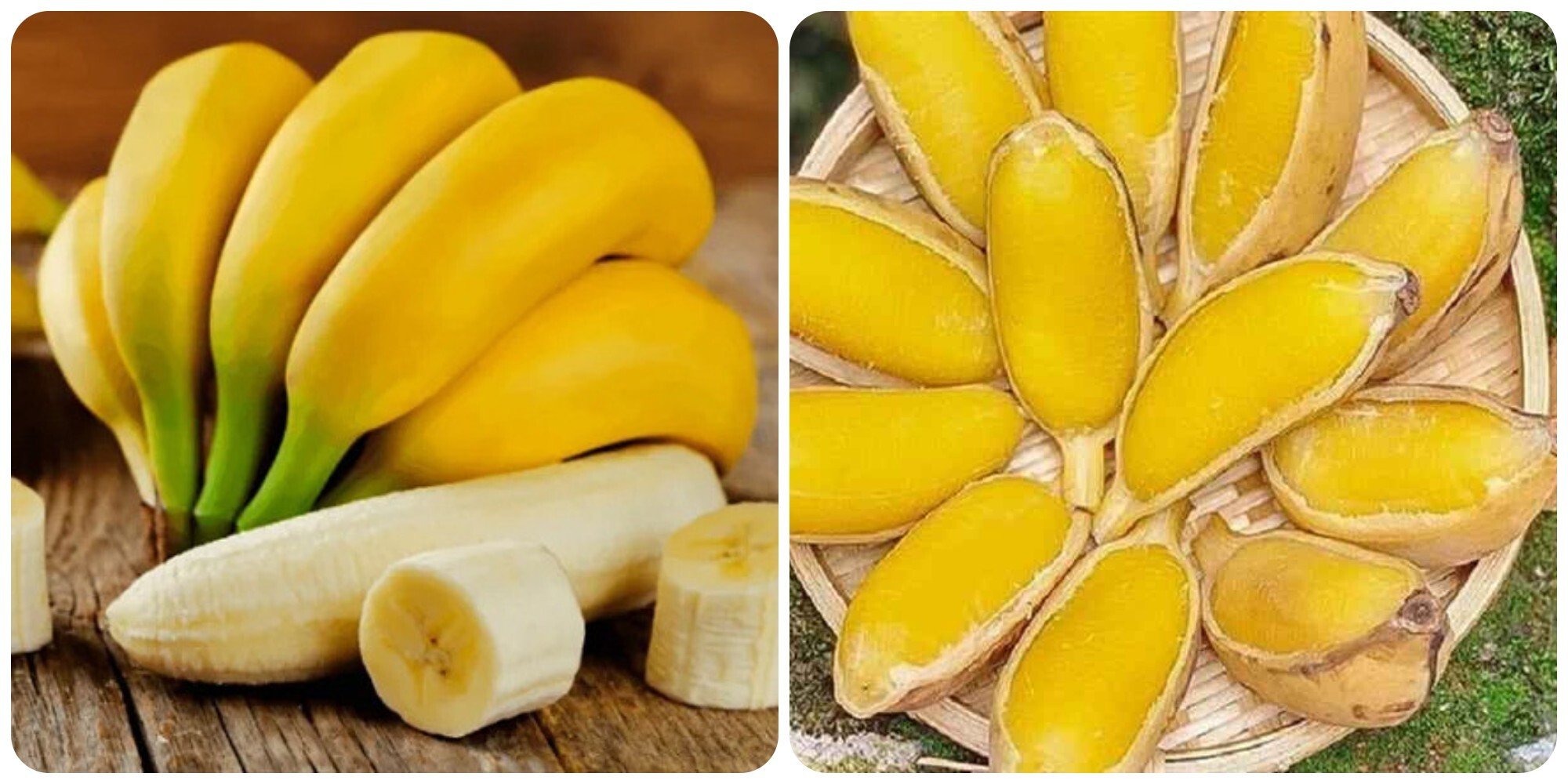 Chuối tốt cho sức khoẻ nhưng không phải ai cũng ăn được