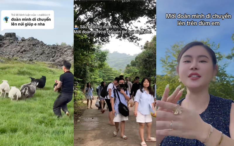 Trên Tiktok tràn ngập trend 