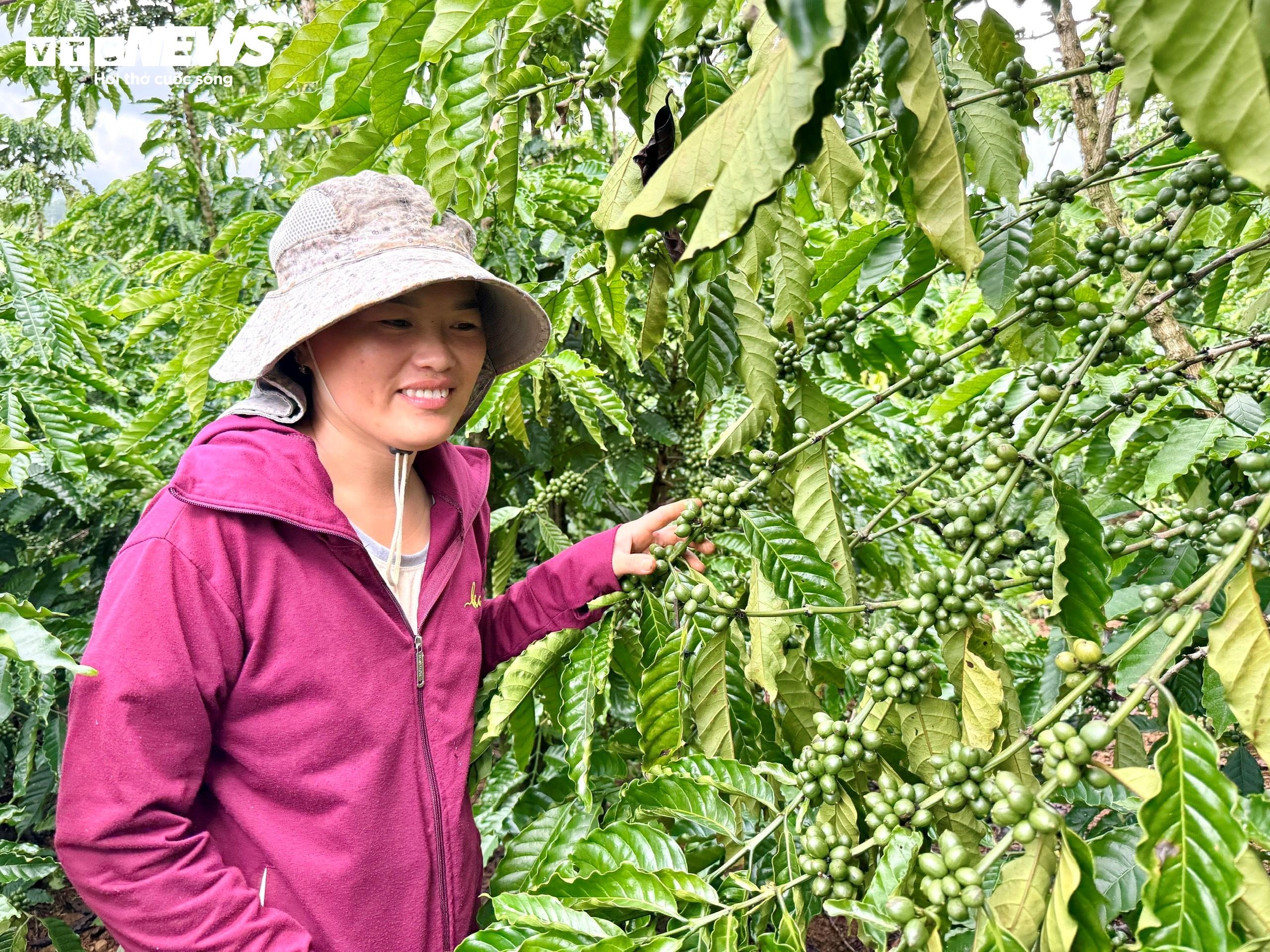 Chị Đinh Thị Yến cùng chồng quyết định gom tiền, mở rộng canh tác.