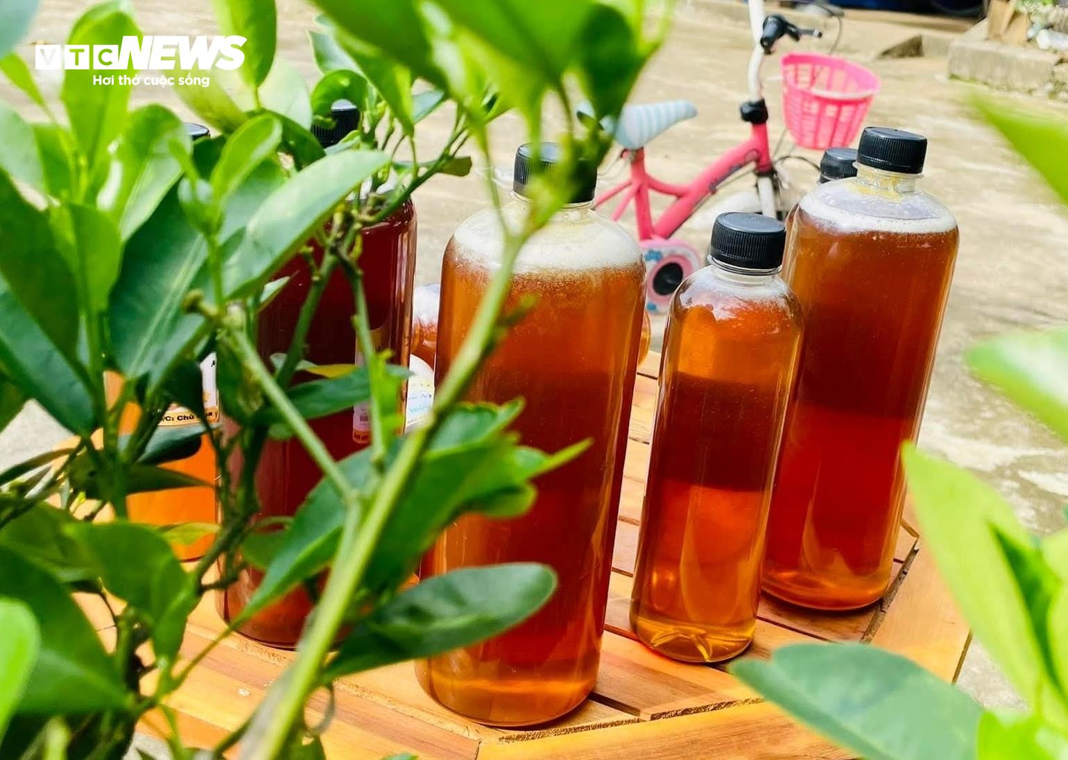 Mật ong là thực phẩm giàu dưỡng chất, được nhiều người tin dùng nhờ khả năng hỗ trợ miễn dịch và cải thiện tiêu hóa. (Ảnh: Như Loan)