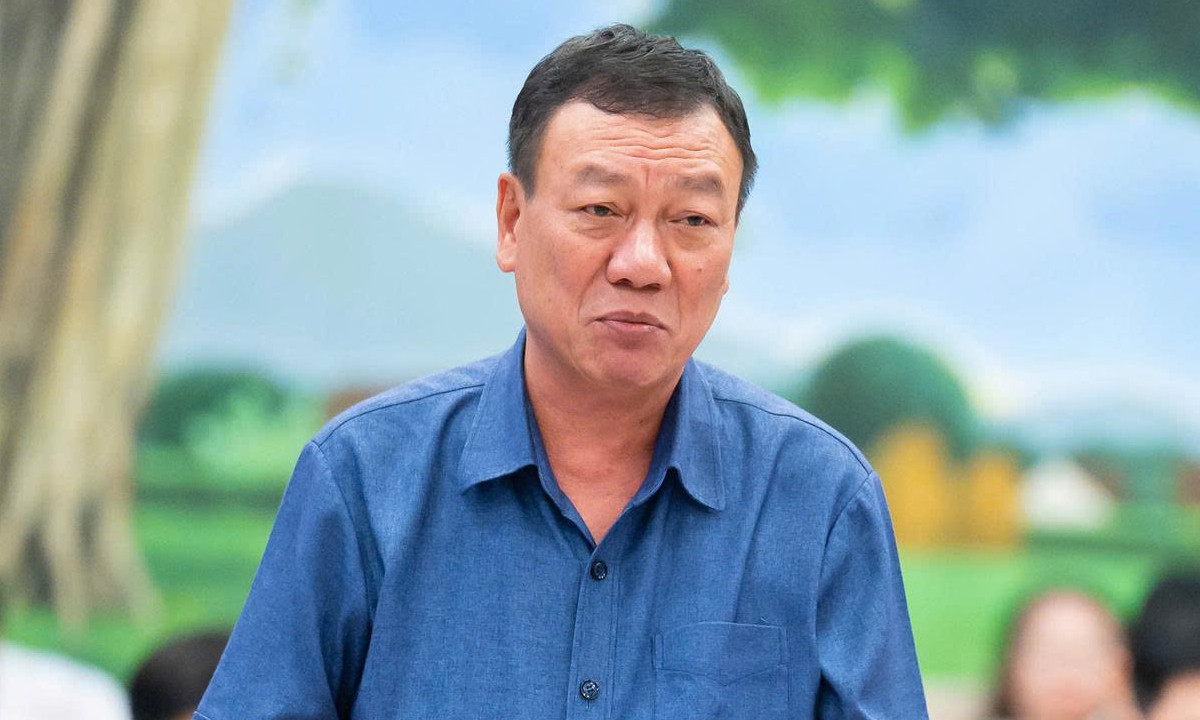 Tổng Thanh tra Chính phủ Đoàn Hồng Phong.