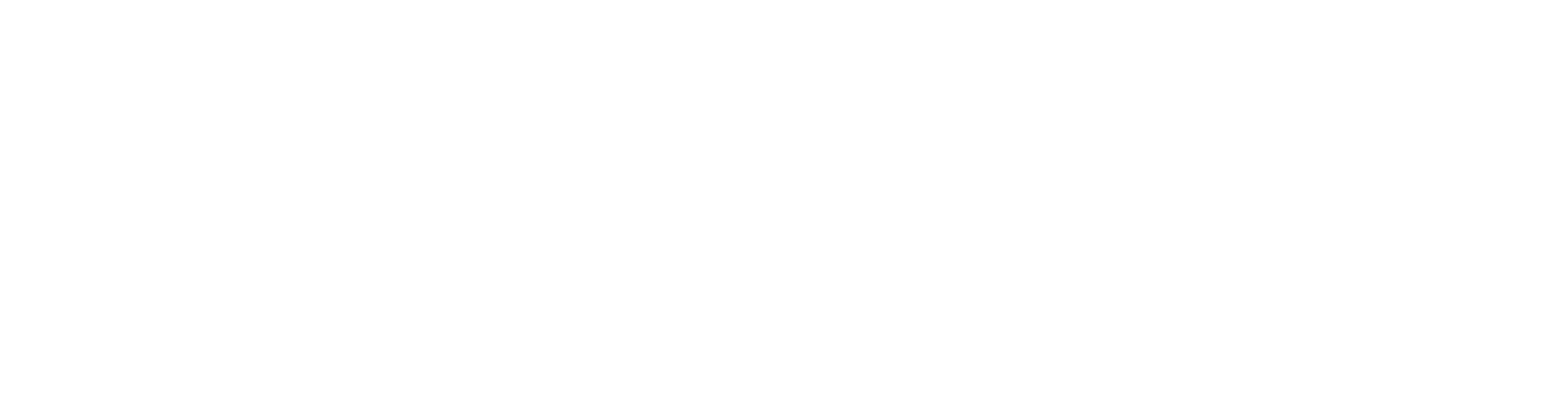 VTC News Logo