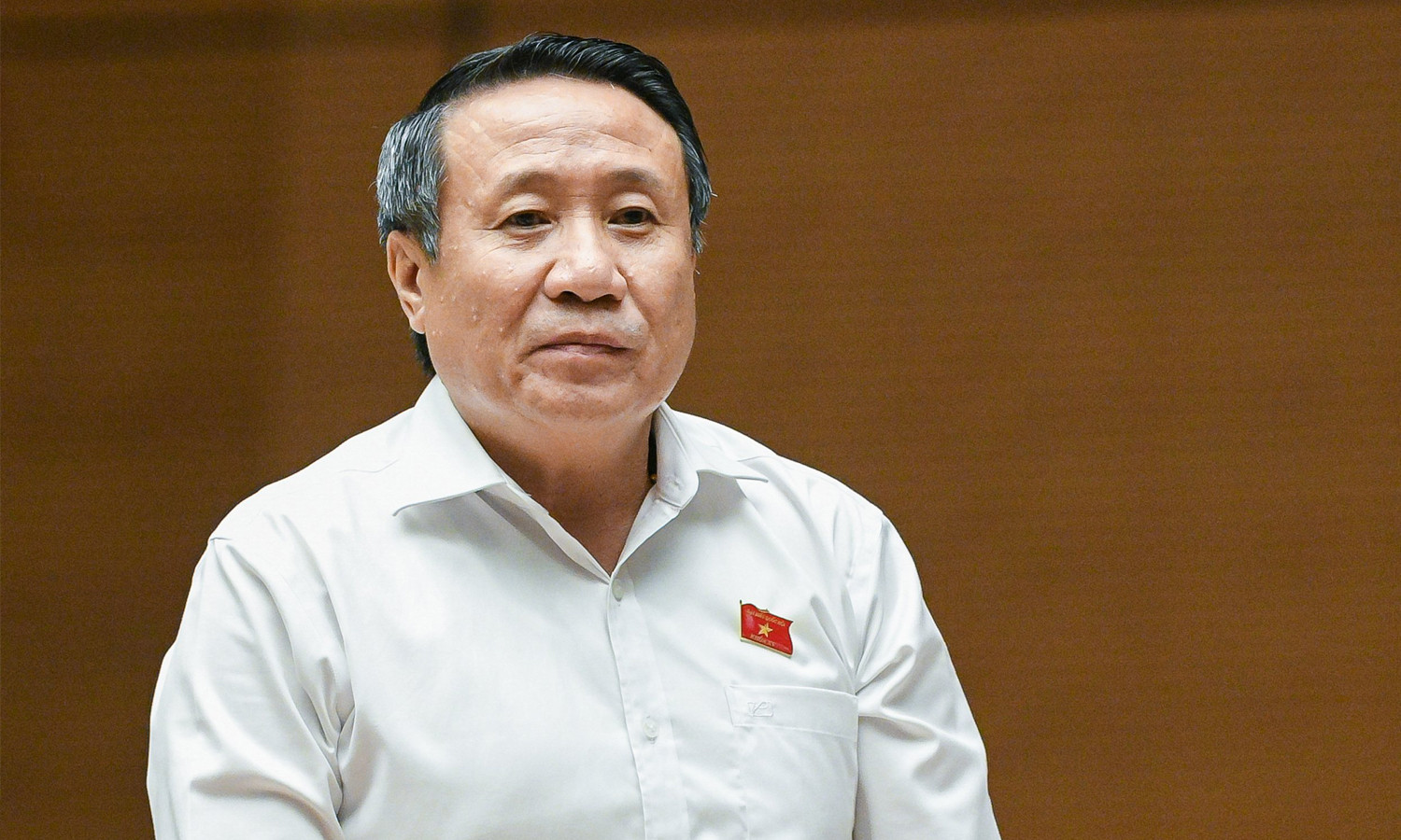 Đại biểu Hà Sỹ Đồng (đoàn Quảng Trị).