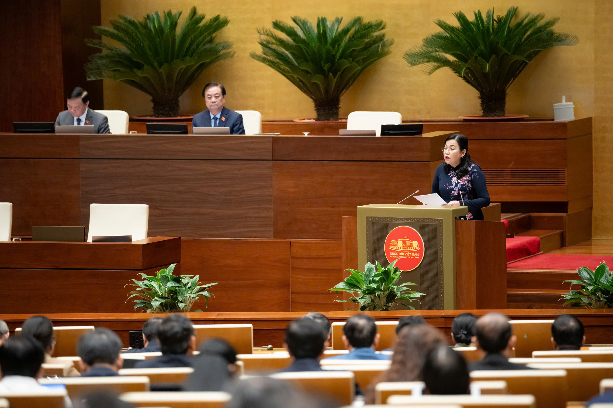 De voorzitter van de commissie voor Wetenschap, Technologie en Milieu, Nguyen Thanh Hai, presenteerde het evaluatierapport.