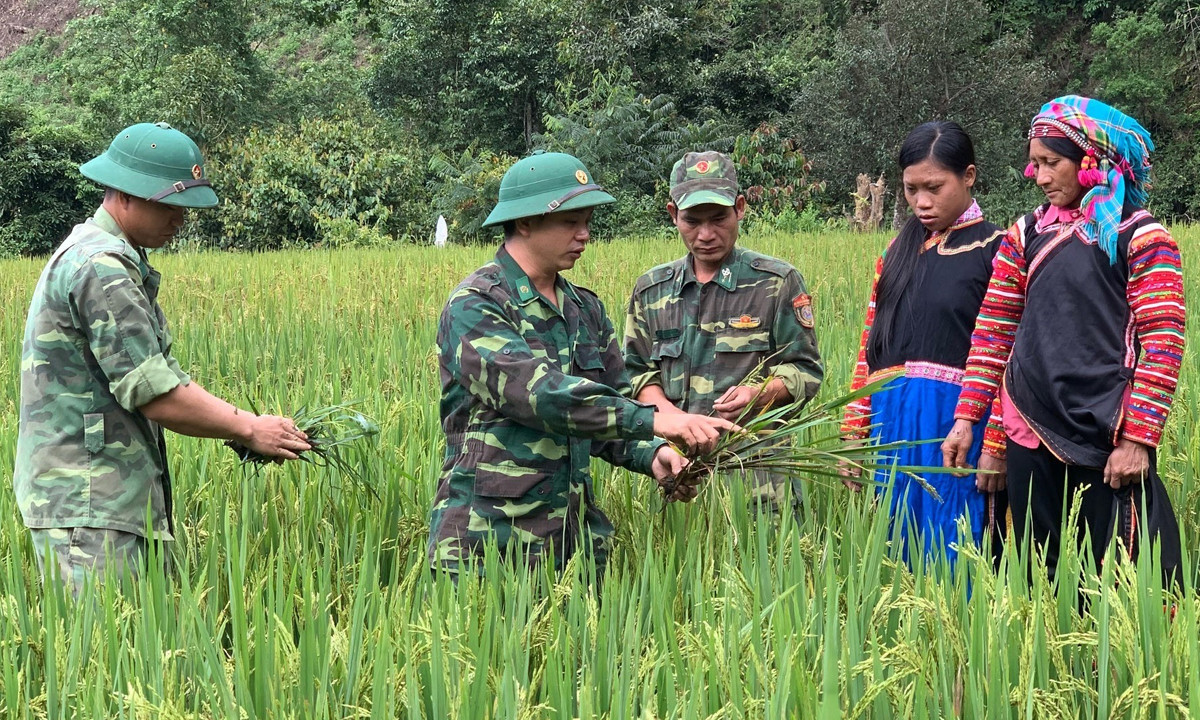 Cán bộ, chiến sĩ Đồn Biên phòng Pa Ủ giúp bà con dân tộc La Hủ ở tỉnh Lai Châu khai hoang ruộng trồng lúa để bảo đảm lương thực tại chỗ. (Ảnh: TXVN)