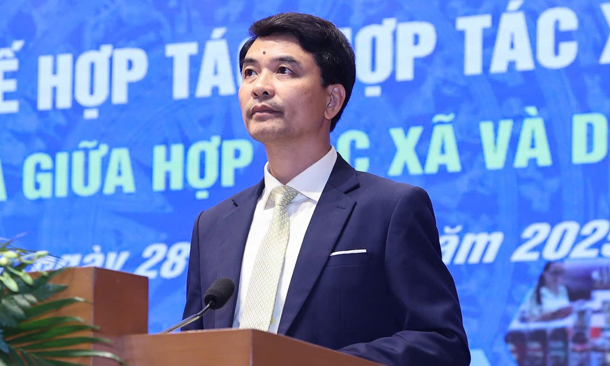 Ông Đinh Hồng Thái - Phó Chủ tịch Liên minh HTX Việt Nam. (Ảnh: VGP)