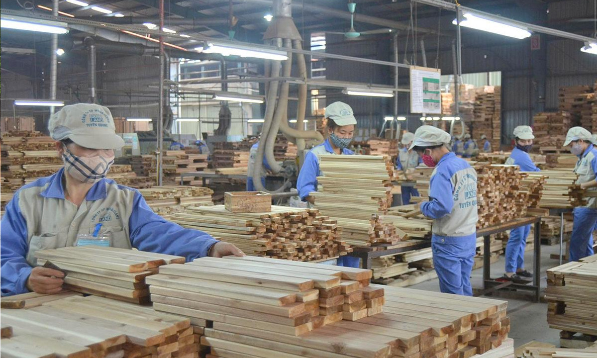 Người lao động làm việc tại Nhà máy chế biến gỗ xuất khẩu của Công ty cổ phần Woodsland Tuyên Quang. (Ảnh: Huy Hoàng)