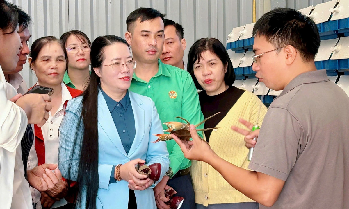 Nông dân TP Hà Nội tương trợ nhau, đã giúp cho hàng ngàn nông dân thoát nghèo bền vững.