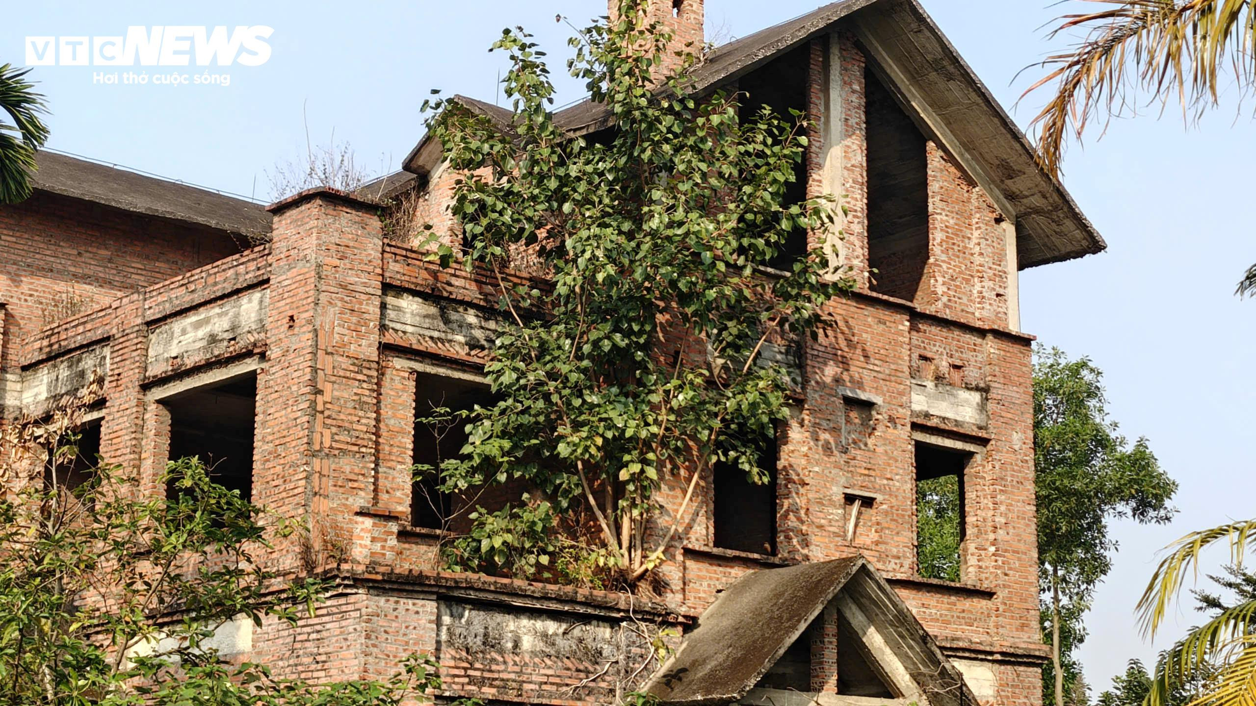 Cây mọc um tùm trên mái nhà của các căn biệt thự.