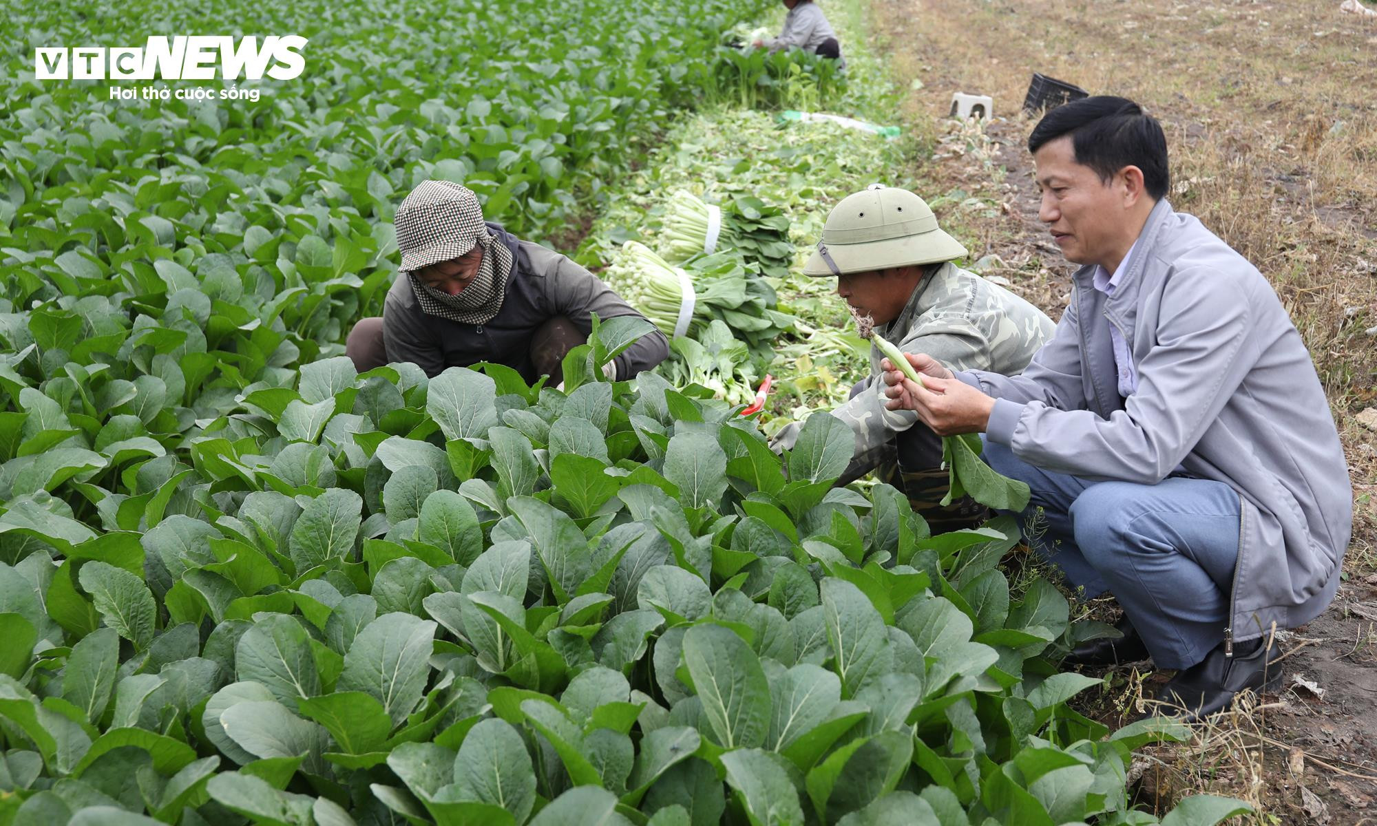 Chính phủ cam kết tạo mọi điều kiện để các thành phần kinh tế phát triển công bằng, bình đẳng và bền vững.