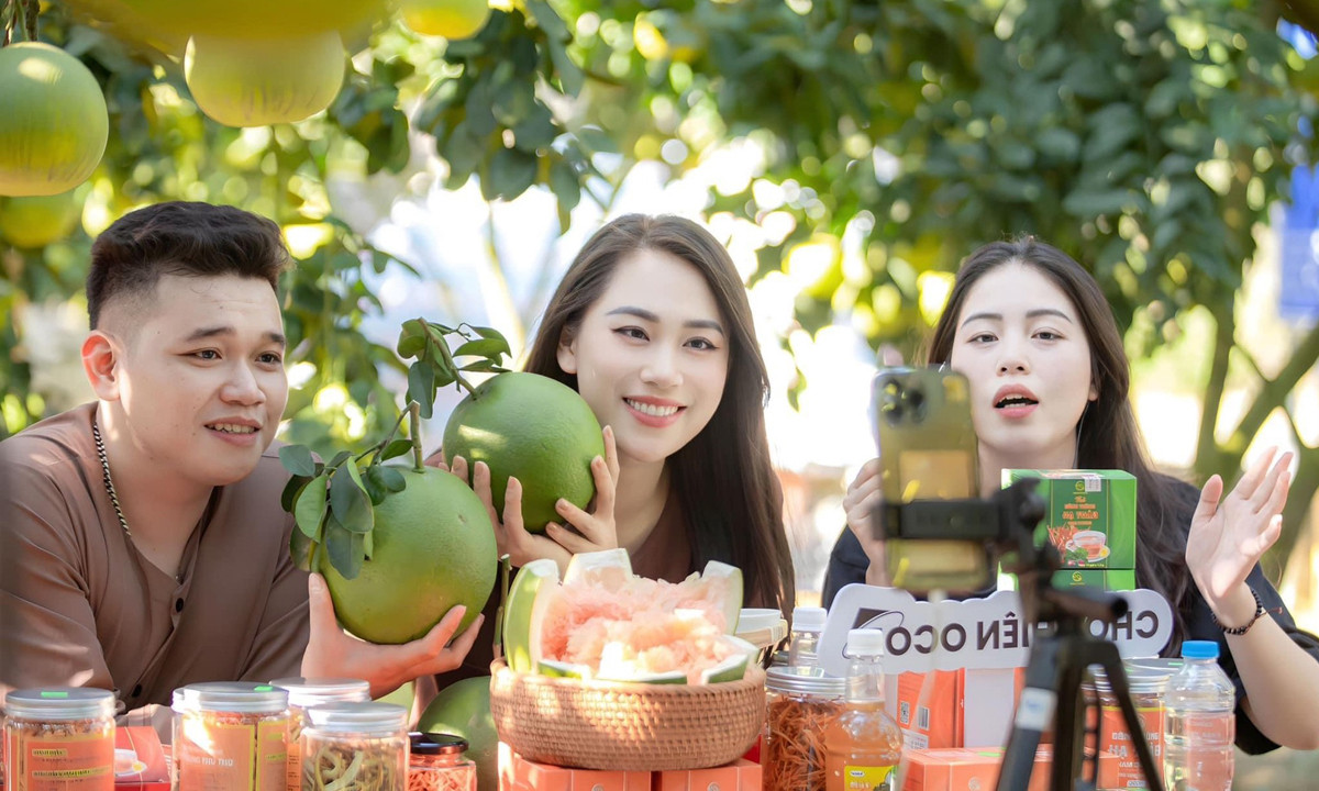 Nhiều HTX chủ động kết nối nông sản với sàn thương mại điện tử, siêu thị và hệ thống bán lẻ hiện đại, giúp sản phẩm có đầu ra ổn định và giá bán cao hơn.