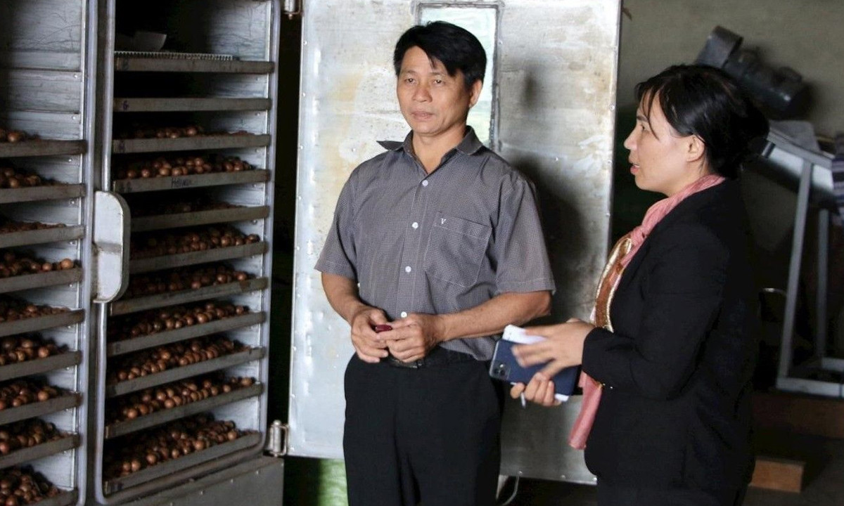 HTX Quảng Trực chú trọng vào chất lượng sản phẩm để nâng cao giá trị thương hiệu Mắc ca Mơ Nông.