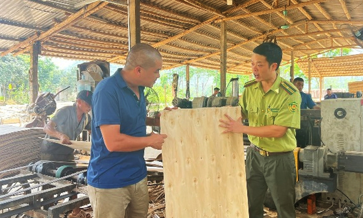 Thay vì chế biến thô xuất khẩu sang Trung Quốc, HTX sản xuất ván ép phục vụ thị trường nội thất trong nước.