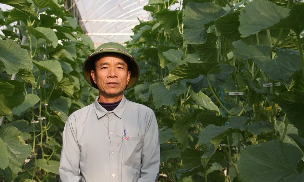 Ông Nguyễn Văn An, Chủ tịch Hội đồng quản trị kiêm Giám đốc HTX Dịch vụ Nông nghiệp Thái Hòa.