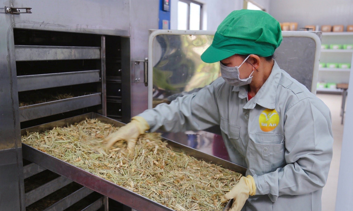 Các sản phẩm được tuân theo quy trình chặt chẽ, đảm bảo vệ sinh trước khi xuất khỏi xưởng.