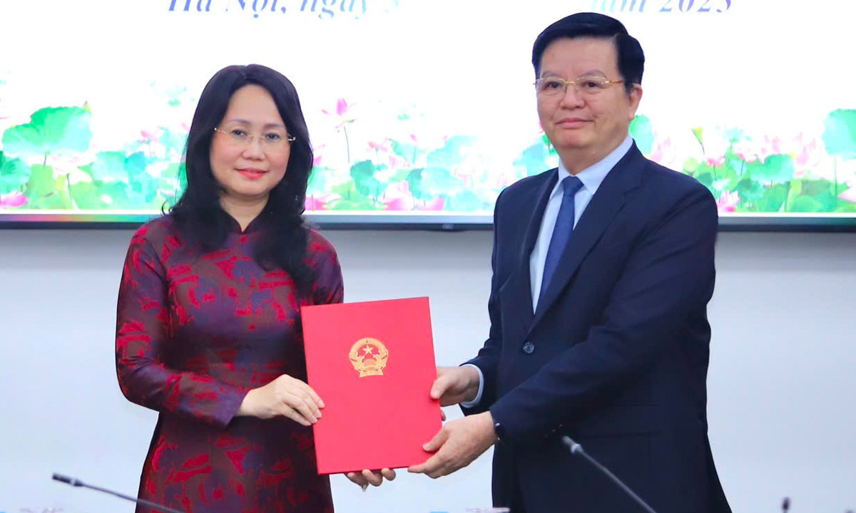 Phó Thủ tướng Mai Văn Chính trao quyết định của Thủ tướng cho bà Lâm Thị Phương Thanh. (Ảnh: Việt Hùng)