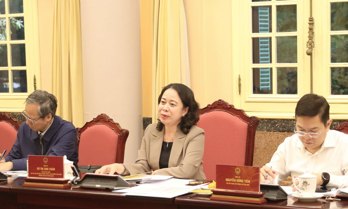 Phó Chủ tịch nước Võ Thị Ánh Xuân phát biểu kết luận buổi làm việc.