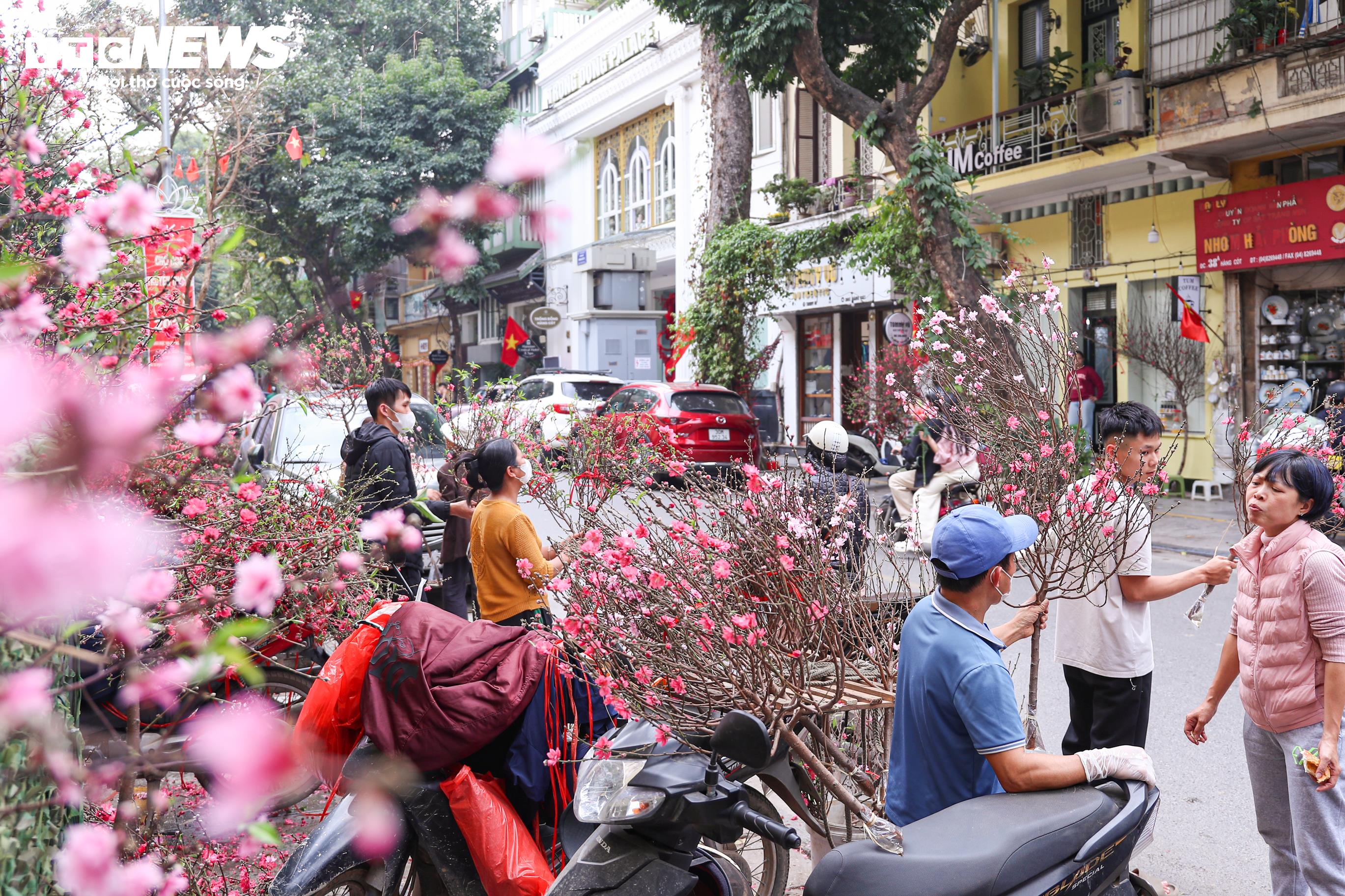 Các tuyến phố rực rỡ sắc đào, không khí xuân lan tỏa khắp nơi.