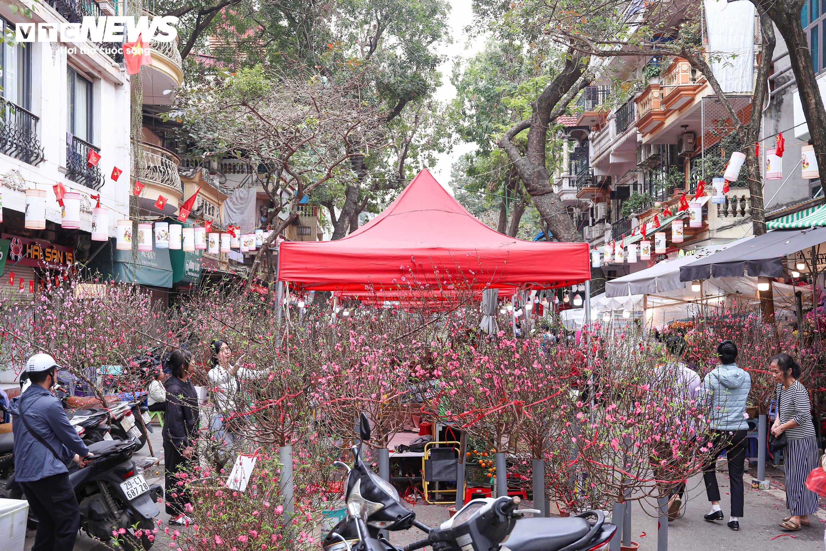 Tại chợ hoa Hàng Lược, đông đảo người dân đổ về tham quan, mua sắm, tạo nên không khí nhộn nhịp những ngày giáp Tết.