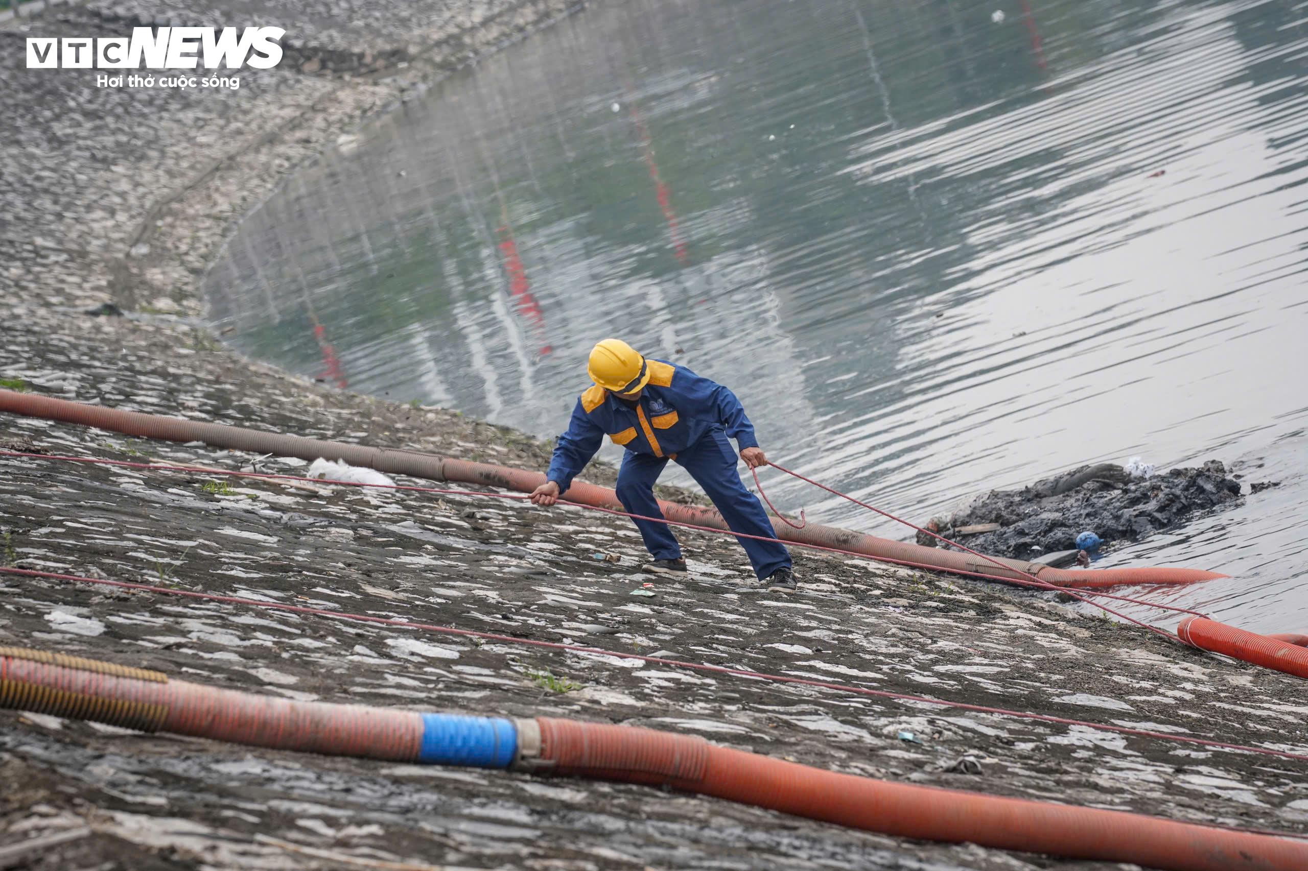 Sau khi được tách ra, các vật này sẽ được các công nhân máy xúc gom lại và đưa lên xe ben vận chuyển đi xử lý.