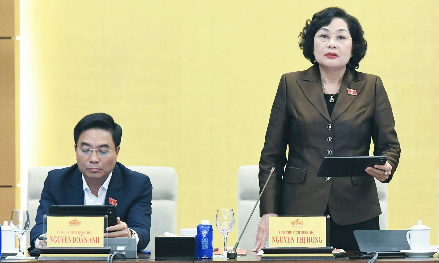 Phó Chủ tịch Quốc hội Nguyễn Thị Hồng.