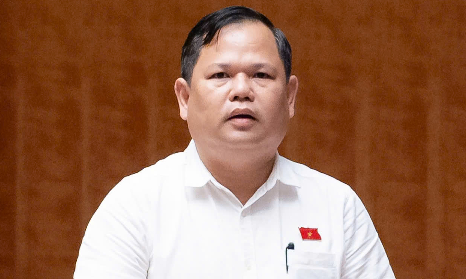 Đại biểu Nguyễn Duy Thanh (đoàn Cà Mau).