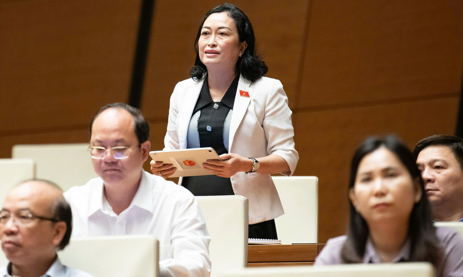 Đại biểu Trần Thị Hoa Ry phát biểu.