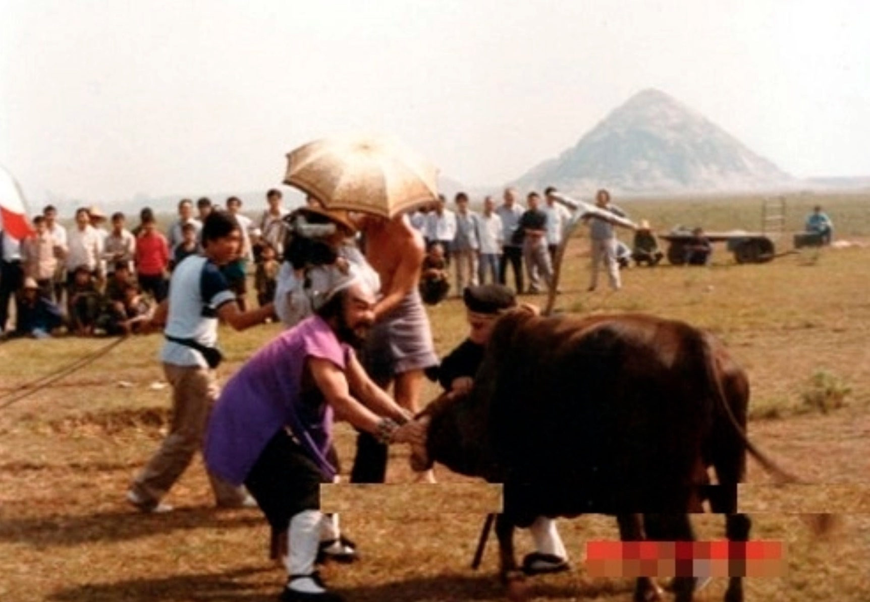 Võ công cao cường trong phim nhưng ở ngoài đời, "Sa Tăng" và "Trư Bát Giớ" phải rất vất vả để thuần phục một chú bò.